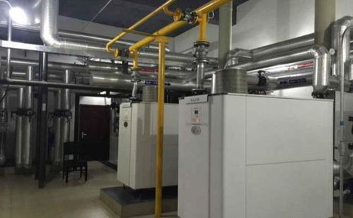 康丹森冷凝锅炉项目改造工程案例 中国中烟延安 市 卷烟厂