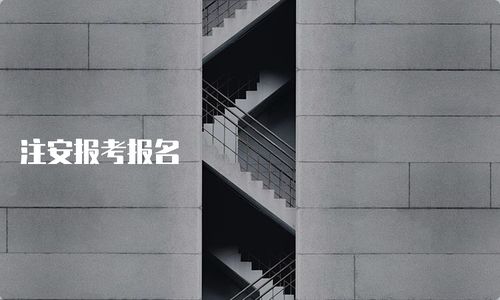 注安报考报名