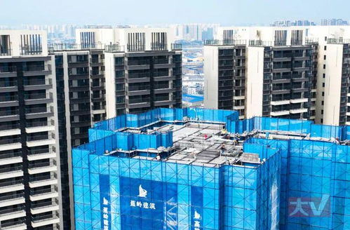 放2次 鸽子 后,南宁奥园说春节前交房你信吗