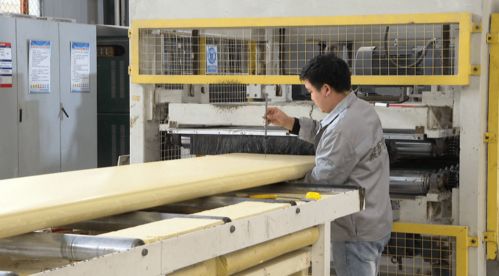 我区5家企业获国家 小巨人 企业称号