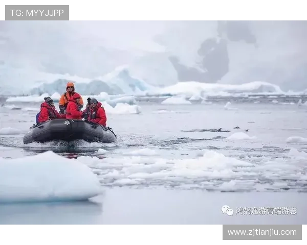 农夫55:不止于味蕾,更是一场关于“鲜”的极致探索 农夫55:不止于味蕾,更是一场关于“鲜”的极致探索