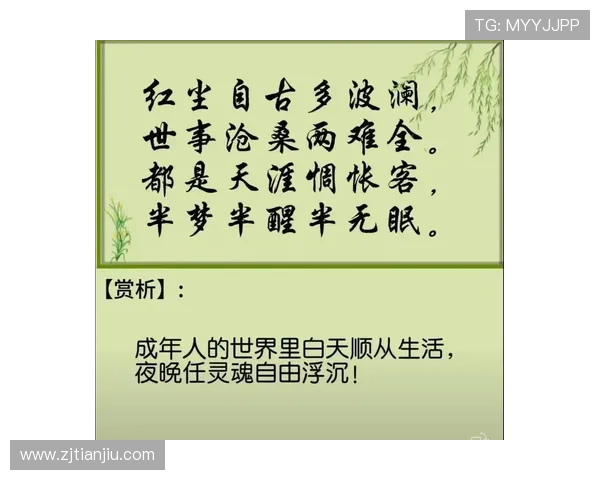 人生如戏，戏如人生：当“无悔”成为一种人生注解