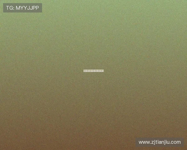 百变小猪：解锁你的无限可能